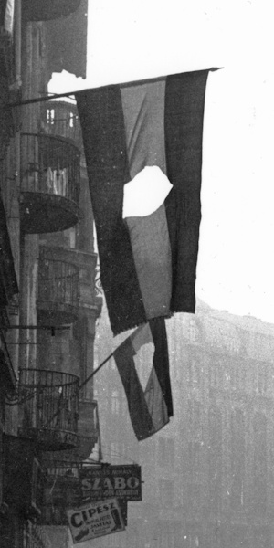 The revolutionary flag, with the Communist emblem cut from the centre.